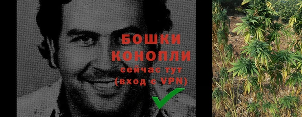2c-b Богданович