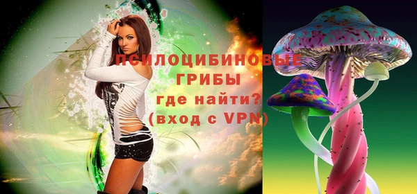 2c-b Богданович