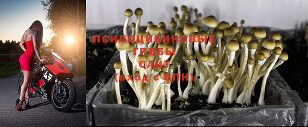 гашиш Беломорск