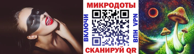 Псилоцибиновые грибы Psilocybine cubensis  Киржач 
